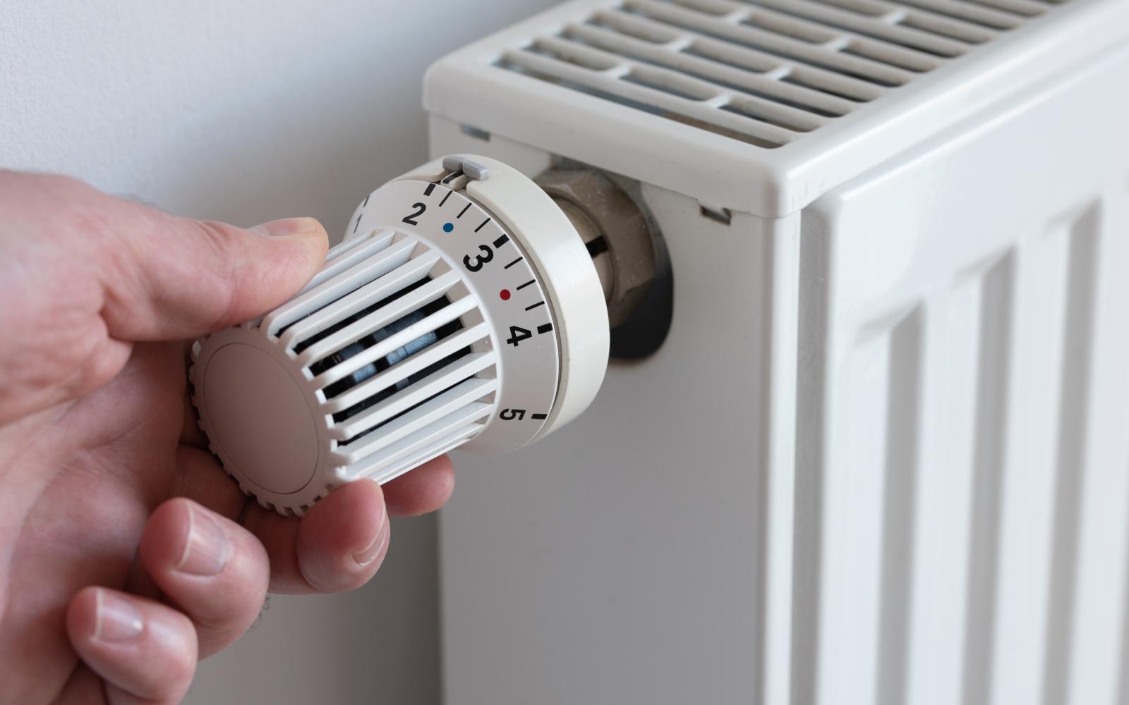 A new report from BUILD examines the Danes’ response to the energy crisis